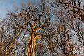 2015_12_19 (0025)